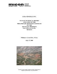 NI 43-101 Technical Report and Audit of the ... - Aura Minerals Inc.