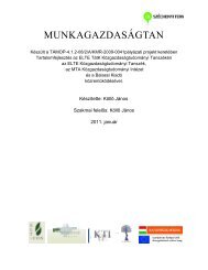 MUNKAGAZDASÃGTAN