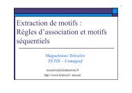 RÃ¨gles d'association et motifs sÃ©quentiels - Site SÃ©curisÃ© du LIRMM