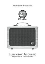 Lunchbox Acoustic - ZT Amplifiers