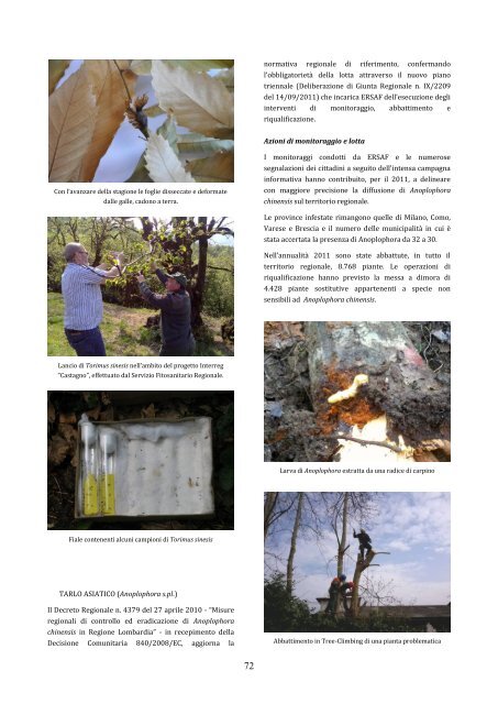 Rapporto stato foreste al 31 dicembre 2011 - Ersaf