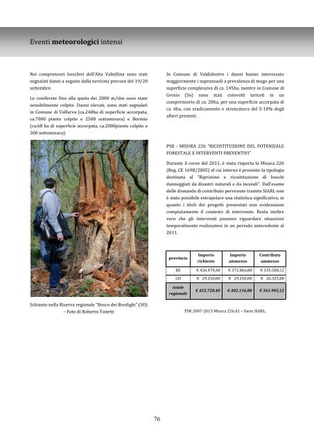 Rapporto stato foreste al 31 dicembre 2011 - Ersaf