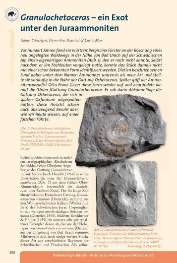 Download PDF - Fossilien