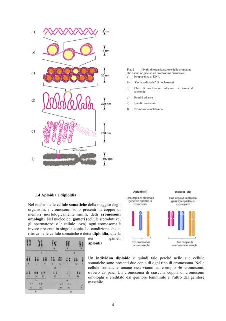 Chi Ã¨ il colpevole? - CusMiBio - UniversitÃ  degli Studi di Milano