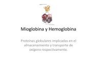 10.Mioglobina y Hemoglobina