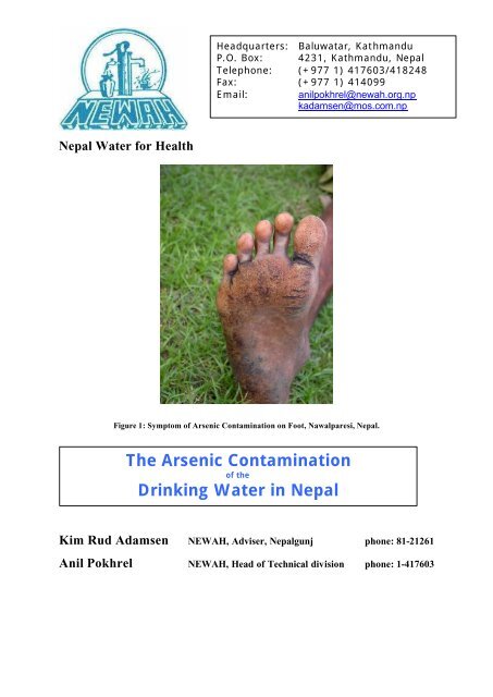 The Arsenic Contamination Drinking Water In Nepal Bvsde