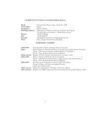 CURRICULUM VITAE of MAURO SBRAGAGLIA Birth ... - Infn