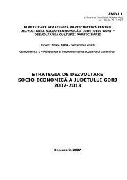 Strategia de dezvoltare socio-economicÄ a judeÈului Gorj