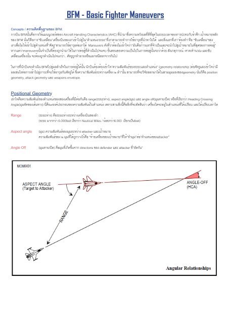 Basic Fighter Maneuvers (BFM) - Thai Flight Simulator