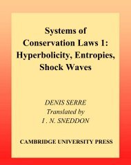 Systems of Conservation Laws 1: Hyperbolicity ... - FENOMEC