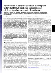 Derepression of ethylene-stabilized transcription factors (EIN3/EIL1 ...