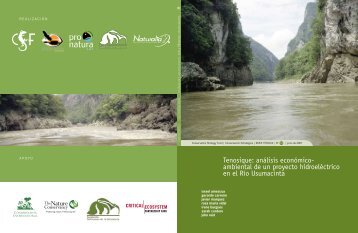 ambiental de un proyecto hidroeléctrico en el Río Usumacinta
