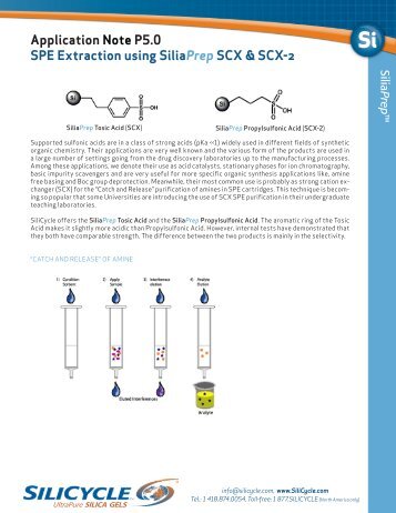 Application Note P5.0 SPE Extraction using SiliaPrep SCX ... - Silicycle