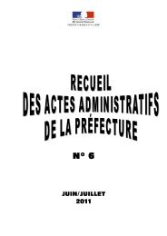 RAA Juin Juillet 2011 - PrÃ©fecture