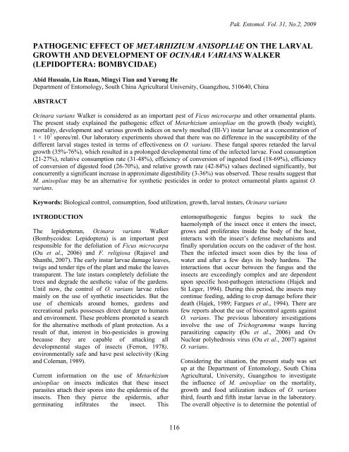 pathogenic effect of metarhizium anisopliae on the larval growth and ...