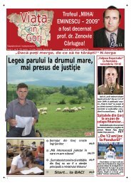 Legea parului la drumul mare, mai presus de justiļie - Viata in Gorj