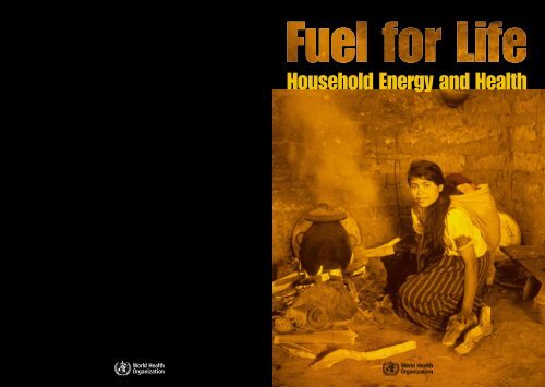 Household Energy and Health - World Health Organization