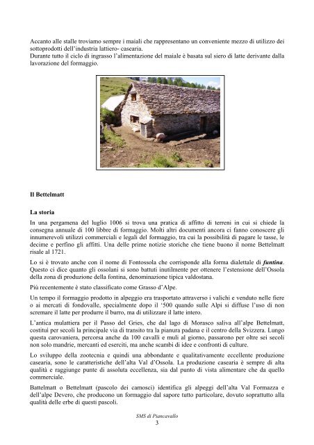 Il formaggio d'alpe.pdf - Scuolapiancavallo.it