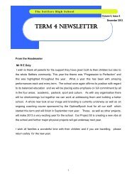 TERM 4 NEWSLETTER - the settlers high school