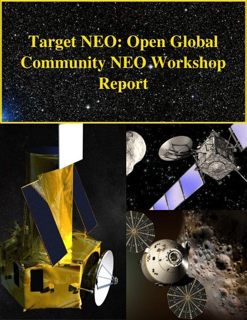 Target NEO: Open Global Community NEO Workshop Report