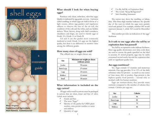 Guide to Egg Sizes and Weights