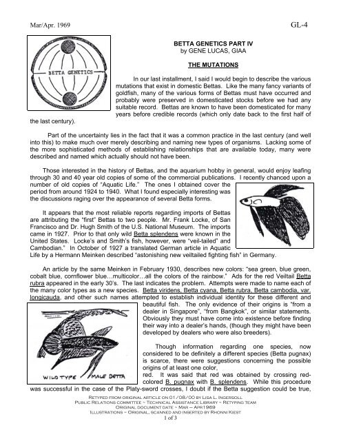 GL-04: Betta Genetics Part IV