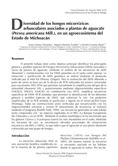 E - CoordinaciÃ³n de la InvestigaciÃ³n CientÃ­fica - Universidad ...