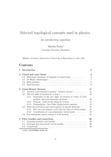 Selected topological concepts used in physics