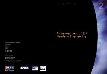 An Assessment of Skill Needs in Engineering - The Skills & Learning ...