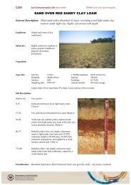 SAND OVER RED SANDY CLAY LOAM - asris