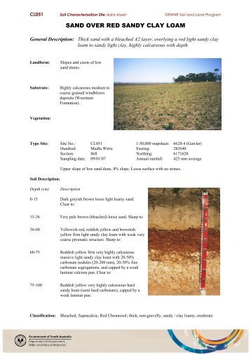 SAND OVER RED SANDY CLAY LOAM - asris