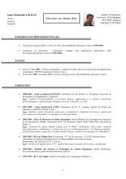 CV en ligne - Institut des Sciences Chimiques de Rennes ...