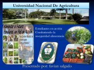 Honduras - Universidad Nacional de Agricultura