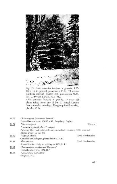 FORSTHAVEN I CHARLOTTENLUND - Dansk Dendrologisk Forening