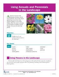 Using Annuals and Perennials in the Landscape