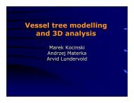 Vessel tree modelling and 3D analysis - DIE - UPM