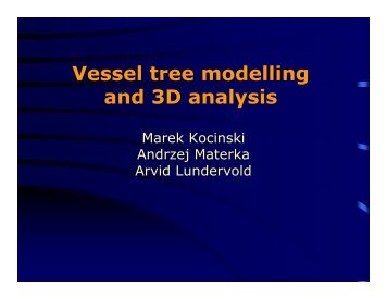 Vessel tree modelling and 3D analysis - DIE - UPM