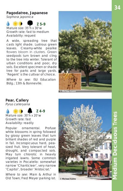 PORTNEUF VALLEY TREE GUIDE - City of Pocatello