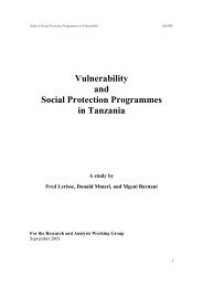 Vulnerability and Social Protection Programmes in Tanzania - Mmari ...