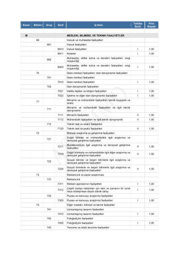 Mesleki, Bilimsel ve Teknik Faaliyetler - asmmmo