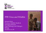 PPR Virus and Wildlife - OIE Africa