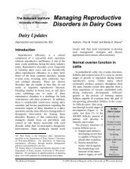 Managing Reproductive Disorder in Dairy Cows - Babcock Institute ...