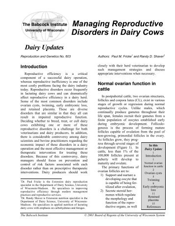 Managing Reproductive Disorder in Dairy Cows - Babcock Institute ...