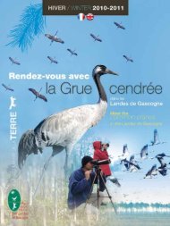 Where to watch birds in Landes de Gascogne - FÃ©dÃ©ration des ...