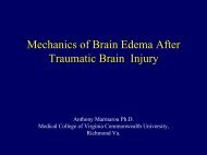 Mechanics of Brain Edema After Traumatic Brain Injury Anthony