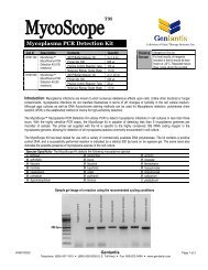 Mycoplasma PCR Detection Kit