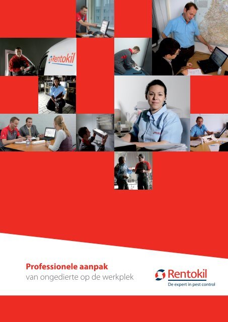 Download Ongedierte op de werkplek Brochure PDF - Rentokil