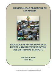 MUNICIPALIDAD PROVINCIAL DE SAN MARTIN ... - Mpsm.gob.pe