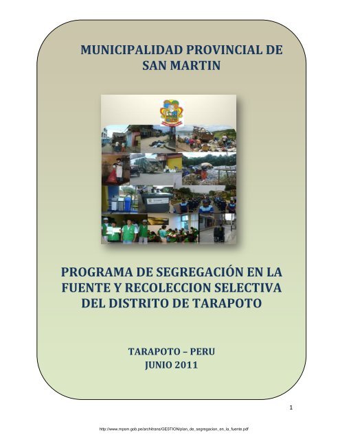 MUNICIPALIDAD PROVINCIAL DE SAN MARTIN ... - Mpsm.gob.pe