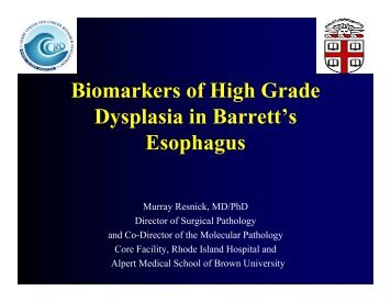 Biomarkers of High Grade Dysplasia in Barrett's Esophagus